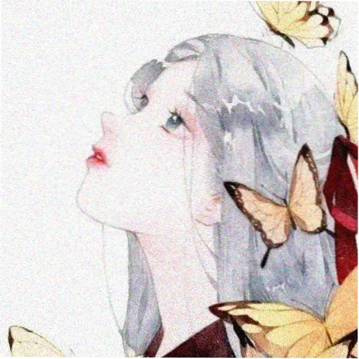 用户十七号观测站头像